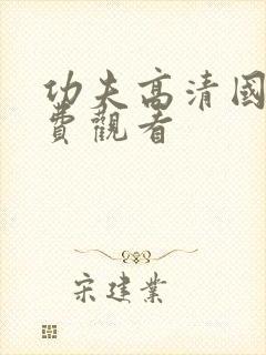 功夫高清国语免费观看