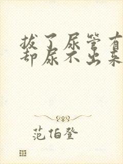 拔了尿管有尿意却尿不出来