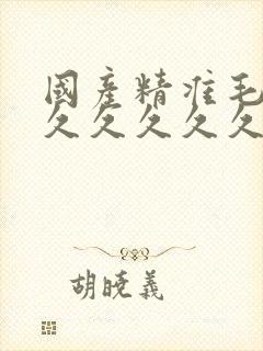 国产精准毛片久久久久久久av