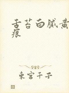 舌苔白腻黄有齿痕