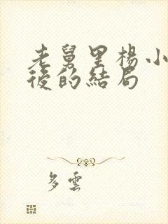 老舅里杨小姐最后的结局封面