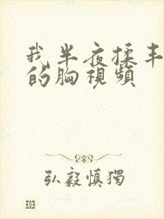 我半夜揉丰满亲的胸视频