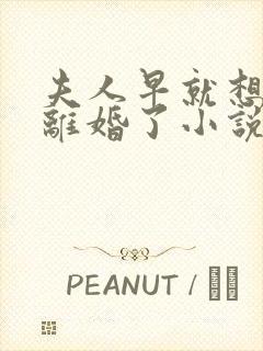 夫人早就想和你离婚了小说