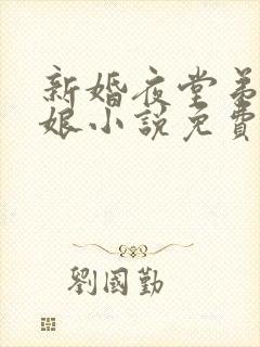 新婚夜堂弟上新娘小说免费阅读最新