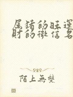 属猪的旺运又旺财的微信名封面