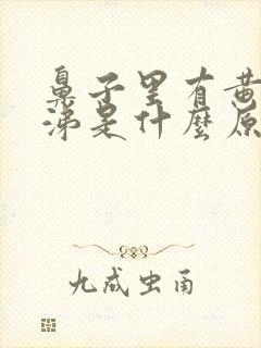 鼻子里有黄稠鼻涕是什么原因