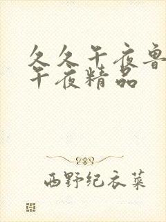 久久午夜鲁丝片午夜精品