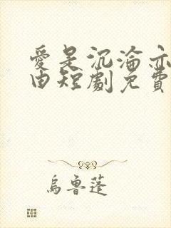 爱是沉沦亦是自由短剧免费看