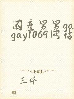 国产男男gaygay1069网站