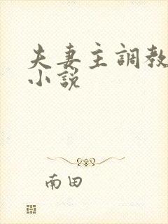 夫妻主调教男奴小说