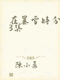 在暴雪时分第13集