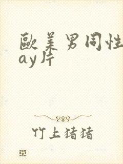 欧美男同性恋gay片