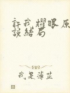 许我耀眼原著小说结局