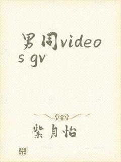 男同videos gv