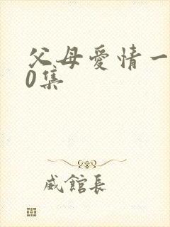 父母爱情一共60集封面