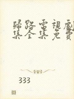 归路电视剧30集全集免费观看封面