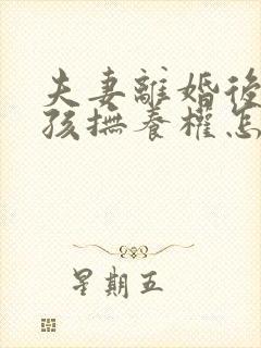 夫妻离婚后两小孩抚养权怎争取