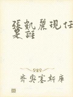 张凯丽现任丈夫是谁