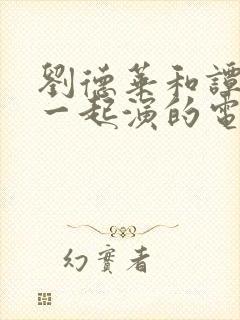 刘德华和谭咏麟一起演的电影封面