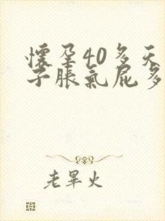 怀孕40多天肚子胀气屁多