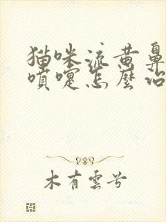 猫咪流黄鼻涕打喷嚏怎么治疗好