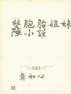 双胞胎姐妹齐上阵小说