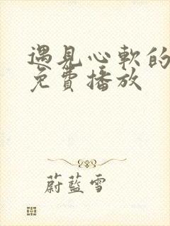 遇见心软的短剧免费播放