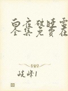 白夜破晓电视剧全集免费在线观看播放