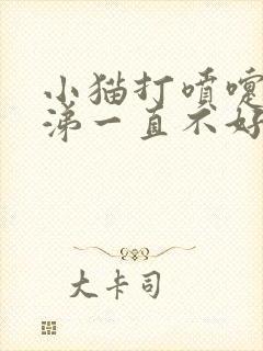 小猫打喷嚏流鼻涕一直不好封面