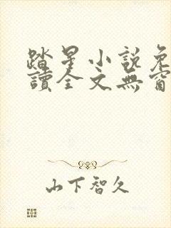 踏星小说免费阅读全文无窗口封面