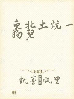 东北土炕一家人狗儿封面