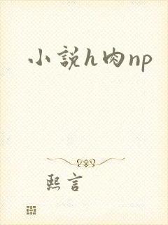 小说h肉np