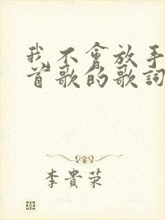 我不会放手是哪首歌的歌词封面