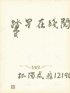 踏星在线阅读免费