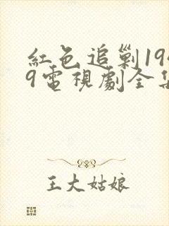 红色追剿1949电视剧全集在线观看封面