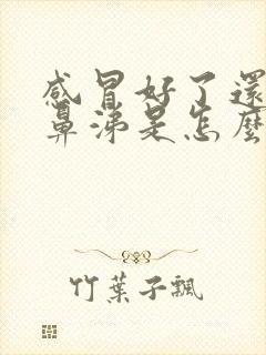 感冒好了还流清鼻涕是怎么回事封面