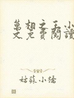 万相之王小说全文免费阅读无弹窗