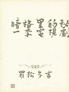 暗格里的秘密第一季电视剧免费观看