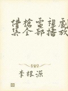 借枪电视剧40集全部播放封面