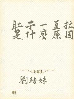 肚子一直拉稀水是什么原因