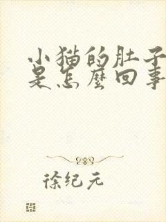 小猫的肚子很大是怎么回事