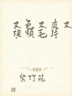 又色又爽又黄又视频毛片封面