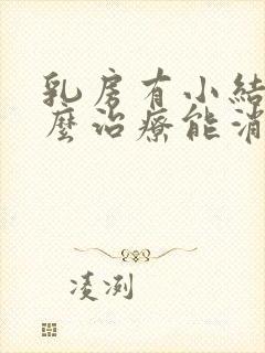 乳房有小结节怎么治疗能消散