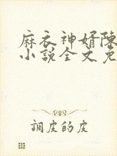 麻衣神婿陈黄皮小说全文免费阅读