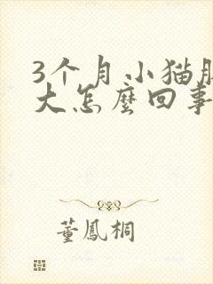 3个月小猫肚子大怎么回事