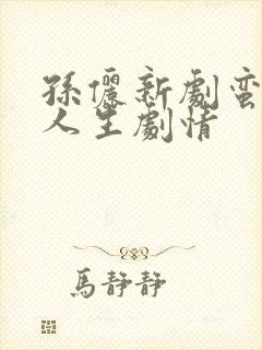 孙俪新剧蛮好的人生剧情