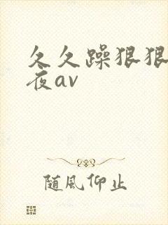 久久躁狠狠躁夜夜av