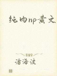 纯肉np黄文