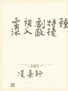 电视剧特种兵之深入敌后封面