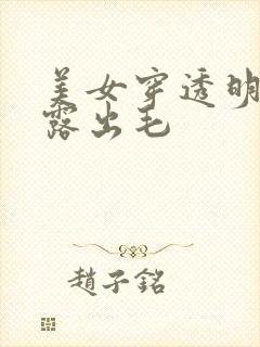 美女穿透明内裤露出毛